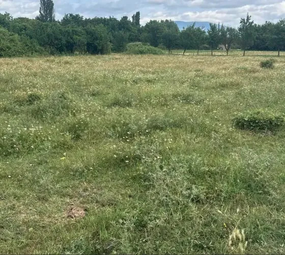 Продам земельный участок 2000м² Mckheta