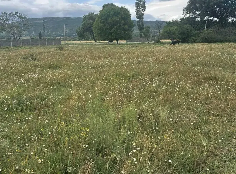 იყიდება მიწის ნაკვეთი 2000м² მცხეთა - photo 1