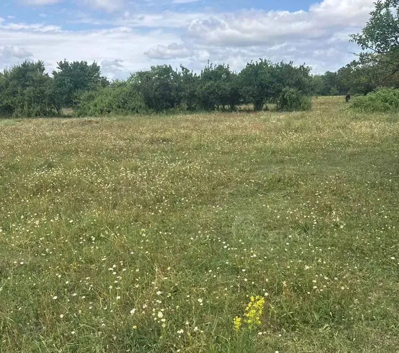 იყიდება მიწის ნაკვეთი 2000м² მცხეთა - photo 2