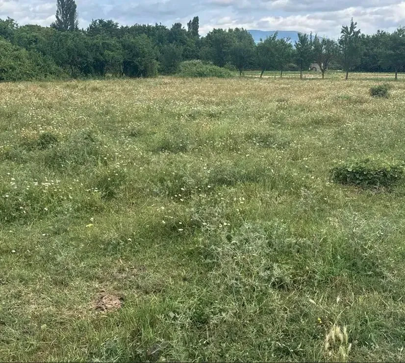 იყიდება მიწის ნაკვეთი 2000м² მცხეთა - photo 3