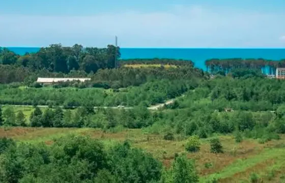 Non-agricultural land plot for sale in Ozurgeti municipality Ozurgeti