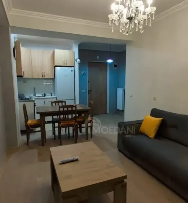 Apartments For Rent two-room 45м² 1/4 floor Tbilisi - photo 9