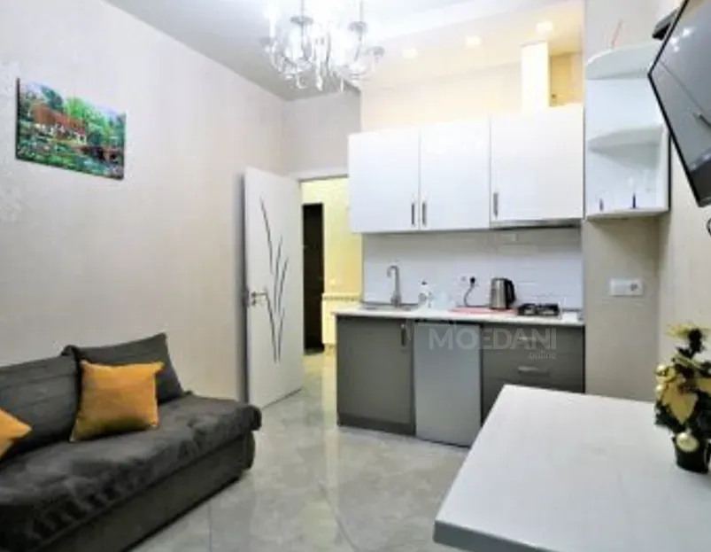 Сдам 2-комн. квартиру на сутки в Тбилиси  40м² 15/17 эт. Тбилиси - изображение 7