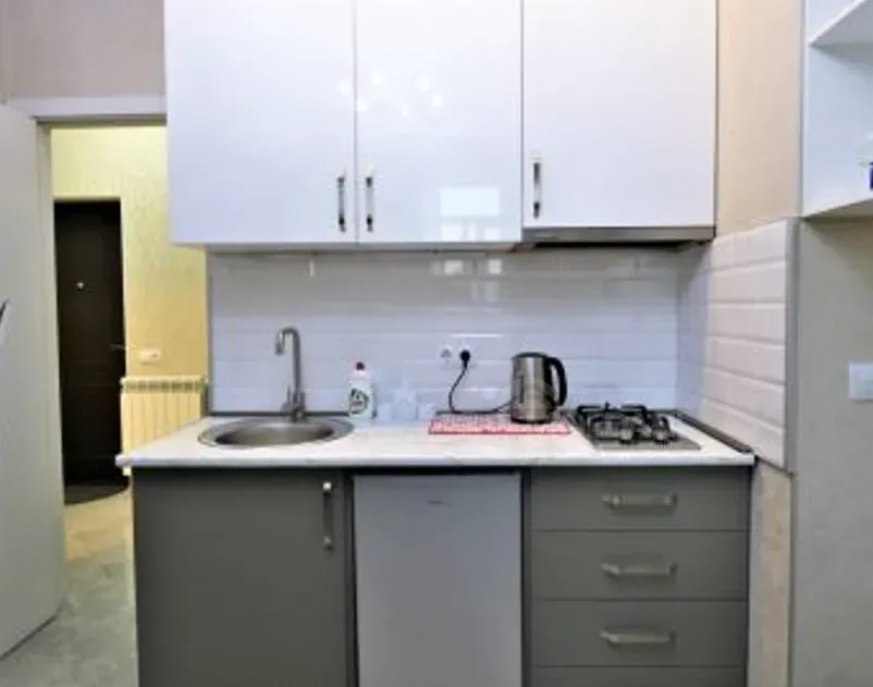 Сдам 2-комн. квартиру на сутки в Тбилиси  40м² 15/17 эт. Тбилиси - изображение 5