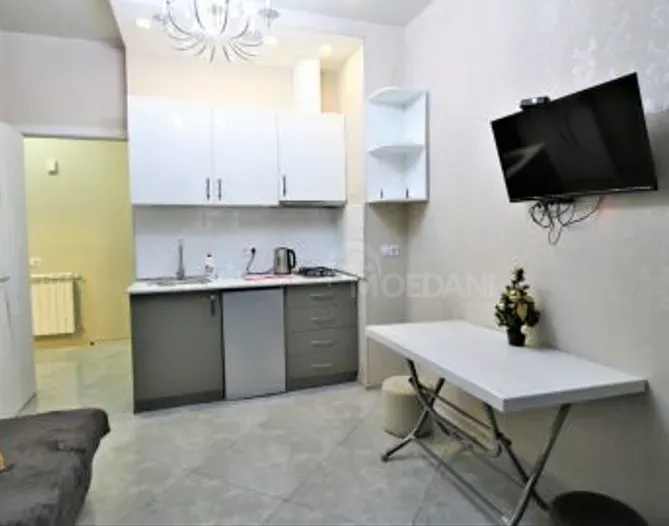 Сдам 2-комн. квартиру на сутки в Тбилиси  40м² 15/17 эт. Тбилиси - изображение 4