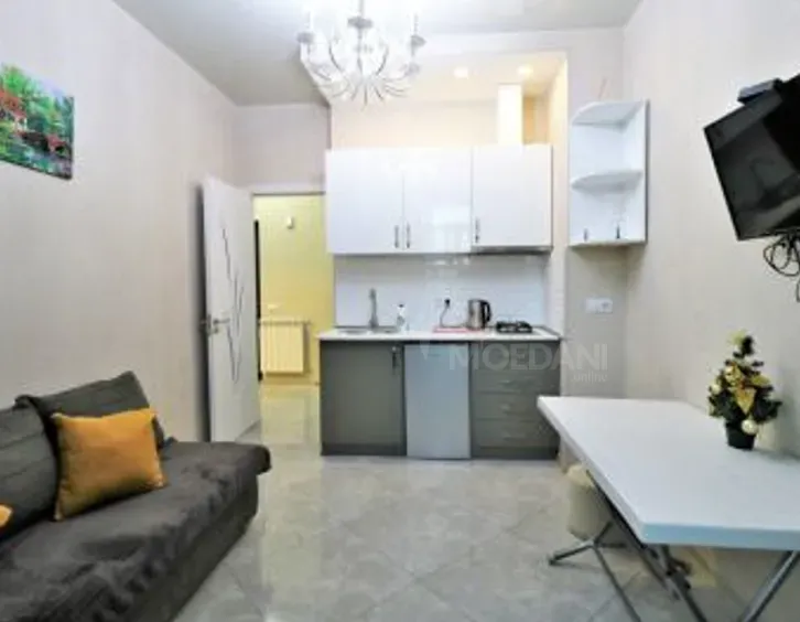 Сдам 2-комн. квартиру на сутки в Тбилиси  40м² 15/17 эт. Тбилиси - изображение 10