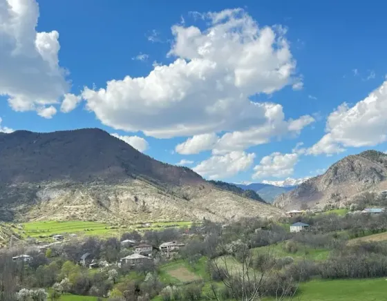 Продам земельный участок 4000м² Borzhomi