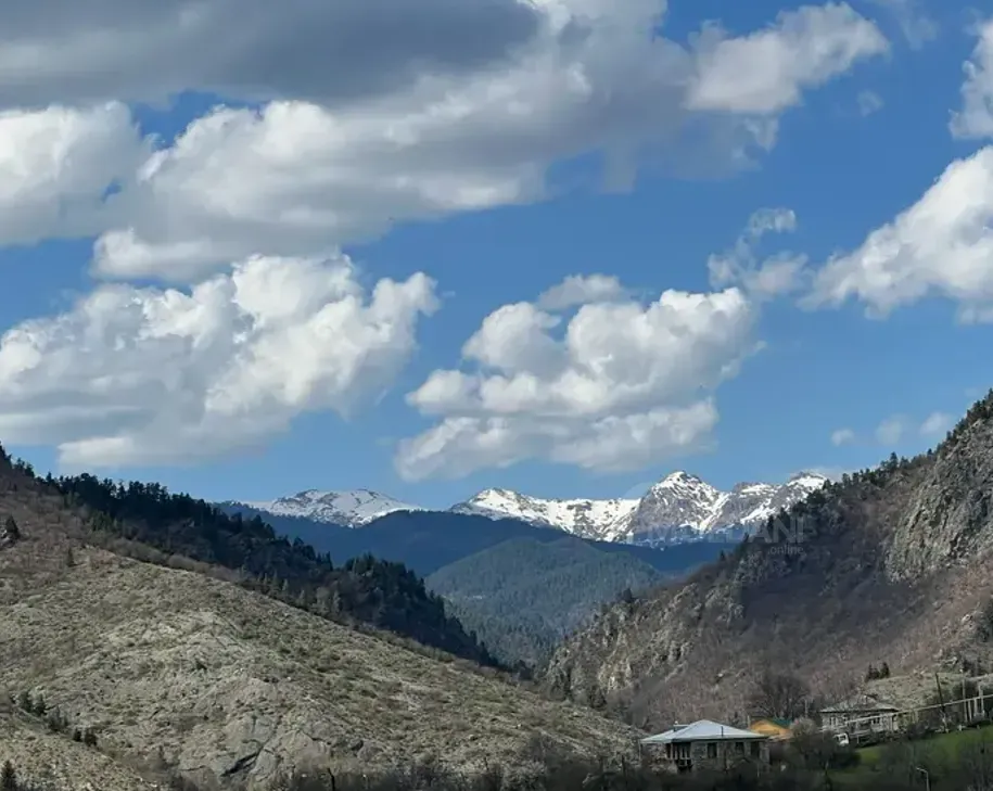 Продам земельный участок 4000м² Borzhomi - photo 2