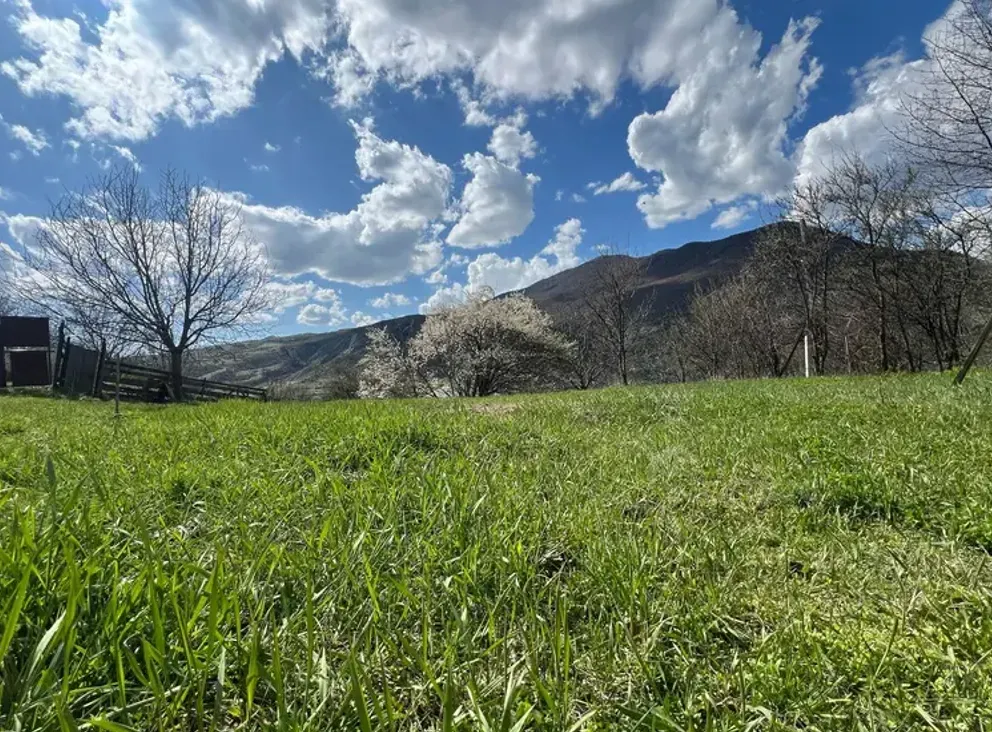 Продам земельный участок 4000м² Borzhomi - photo 3