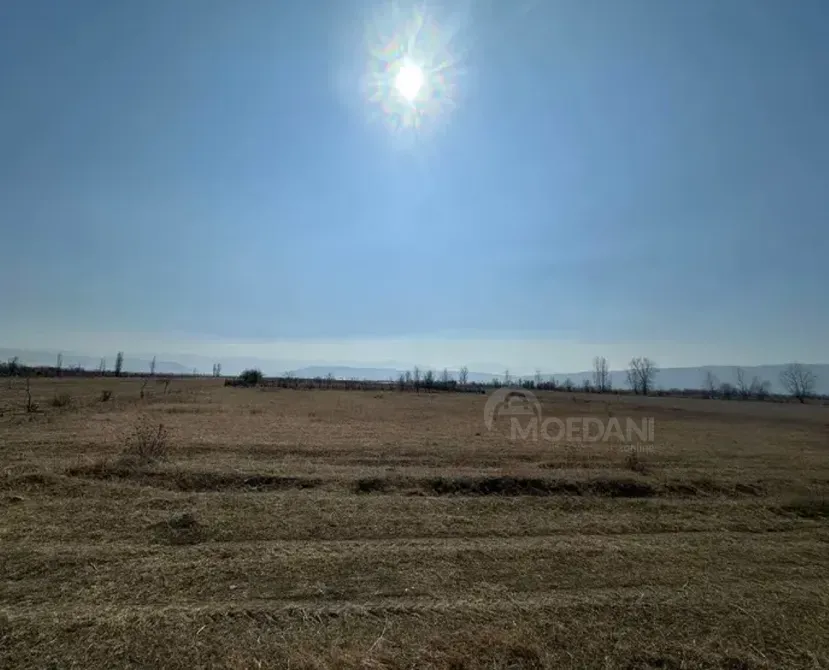 Продам земельный участок 47м² Mckheta - photo 7