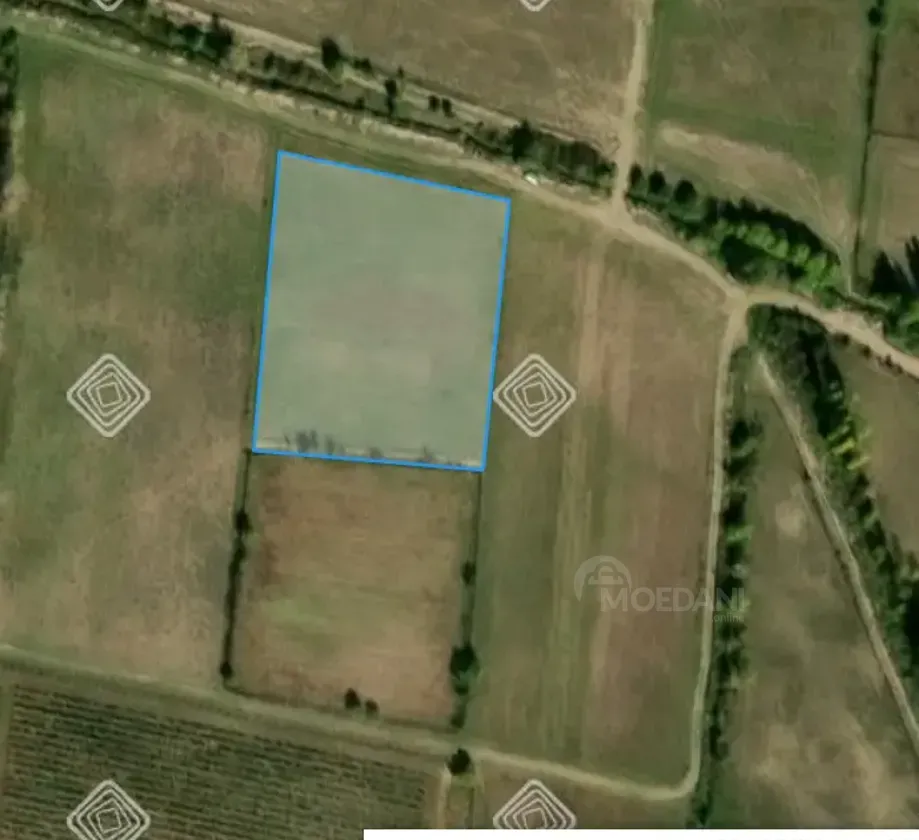 Продам земельный участок 47м² Mckheta - photo 3