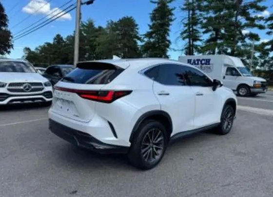 Lexus NX 2022 Тбилиси