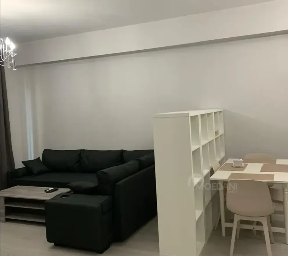 Apartments For Rent two-room 70м² 12/20 floor Tbilisi - photo 4
