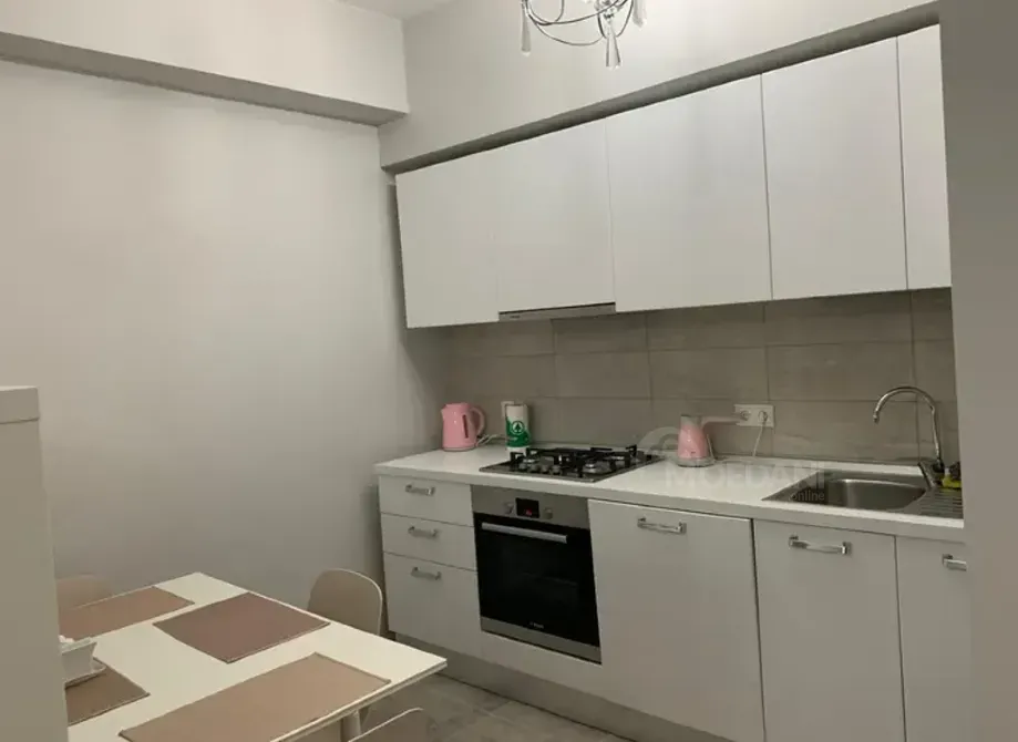 Apartments For Rent two-room 70м² 12/20 floor Tbilisi - photo 2
