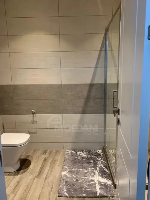 Apartments For Rent two-room 70м² 12/20 floor Tbilisi - photo 3