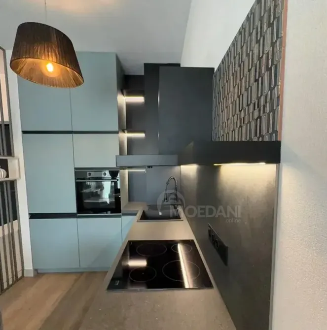 Apartments For Rent two-room 70м² 19/24 floor Tbilisi - photo 5