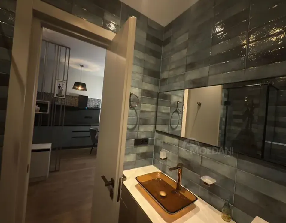 Apartments For Rent two-room 70м² 19/24 floor Tbilisi - photo 10