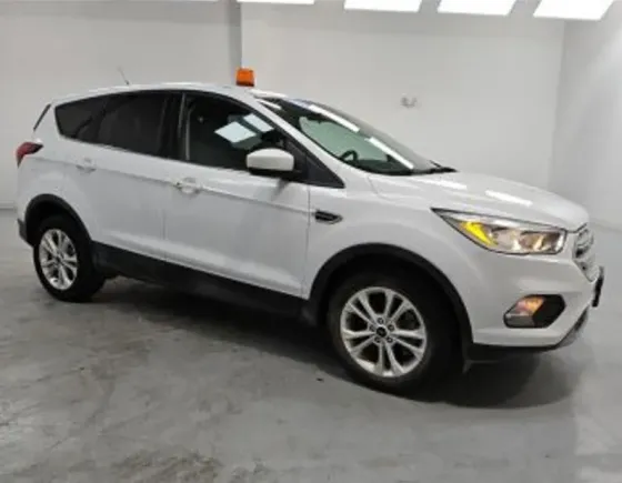 Ford Escape 1.4L 2019 Тбилиси