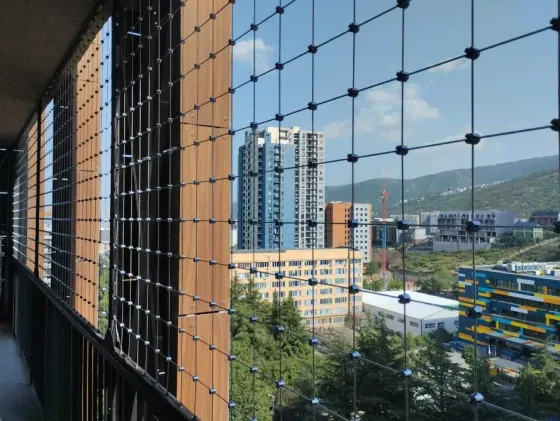 Child safety nets Tbilisi