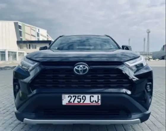Toyota RAV4 2.5L 2024 Тбилиси