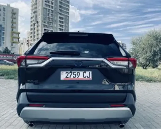 Toyota RAV4 2.5L 2024 Тбилиси