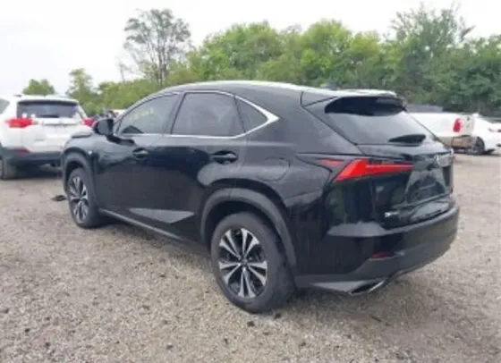 Lexus NX 2020 Тбилиси