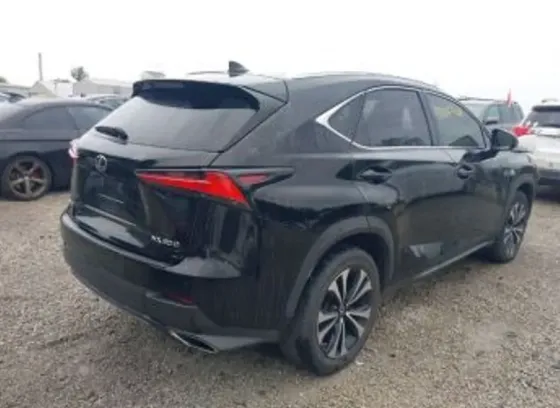 Lexus NX 2020 Тбилиси