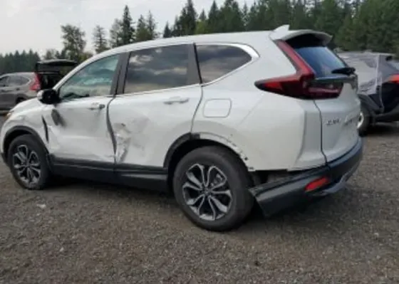 Honda CR-V 2020 Тбилиси
