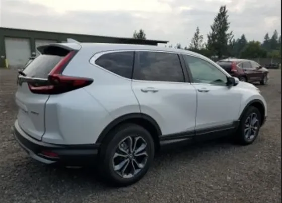 Honda CR-V 2020 Тбилиси