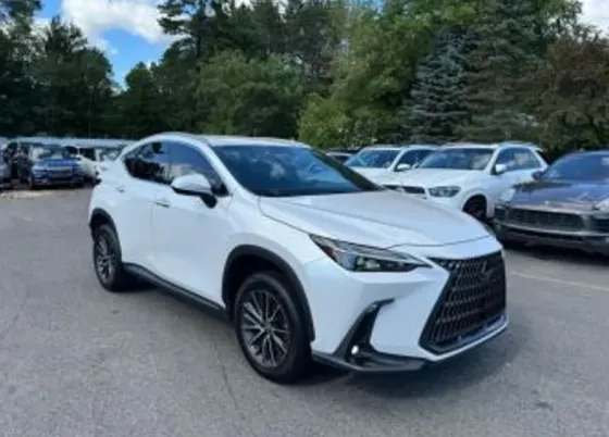 Lexus NX 2022 Тбилиси