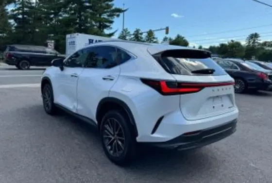 Lexus NX 2022 Тбилиси