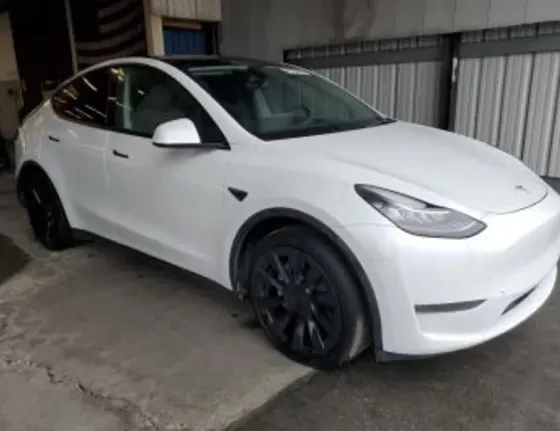 Tesla Model Y 2023 Тбилиси