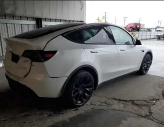 Tesla Model Y 2023 Тбилиси