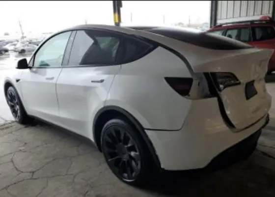 Tesla Model Y 2023 Тбилиси