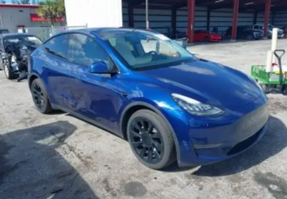 Tesla Model Y 2021 Тбилиси