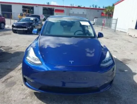 Tesla Model Y 2021 Тбилиси