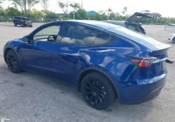 Tesla Model Y 2021 Тбилиси
