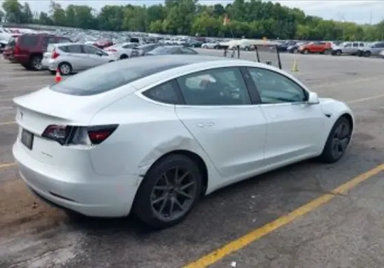Tesla Model 3 2020 Тбилиси