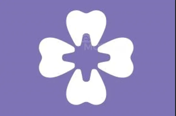 Ექთნის ვაკანსია თბილისი - photo 1