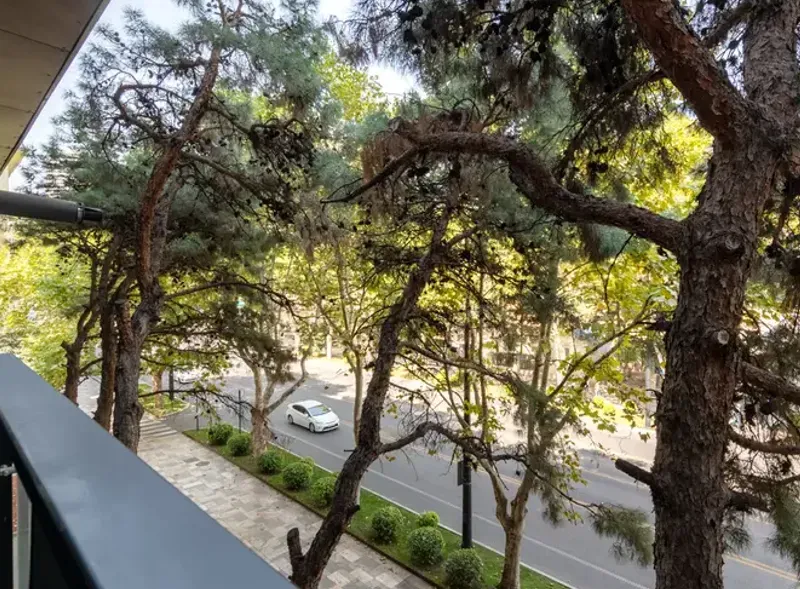 Сдам 2-комн. квартиру 46м² 3/8 эт. Тбилиси - изображение 10