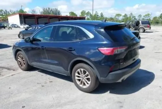 Ford Escape 1.5L 2021 Тбилиси