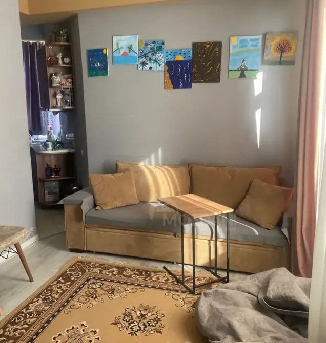 Продам 2-комн. квартиру 45м² 13/13 эт. Тбилиси - изображение 10