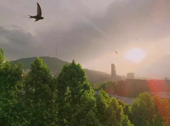 იყიდება 3 ოთახიანი ბინას 84მ² 8/8 სართ თბილისი