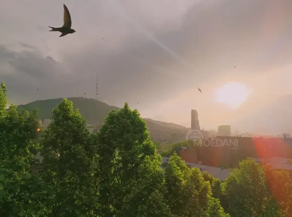 Продам 3-комн. квартиру 84м² 8/8 эт. Тбилиси - изображение 3