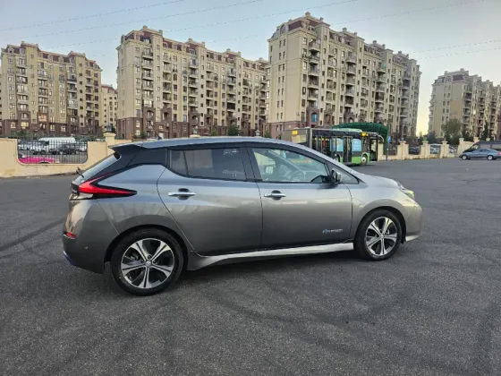 Driver. Car transfer. Poti