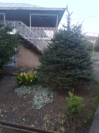 House for sale 1600м² Hobi