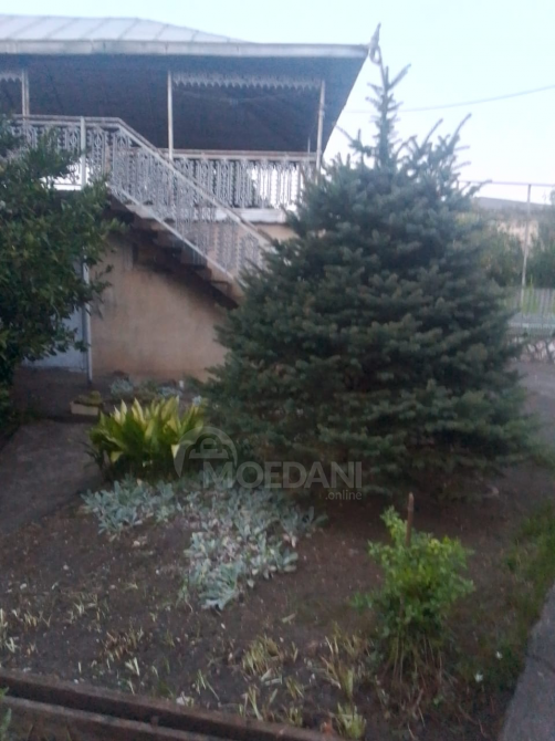 House for sale 1600м² Hobi - photo 4