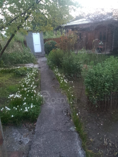 House for sale 1600м² Hobi - photo 5