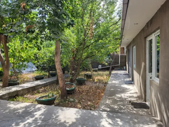 Room for rent Tbilisi