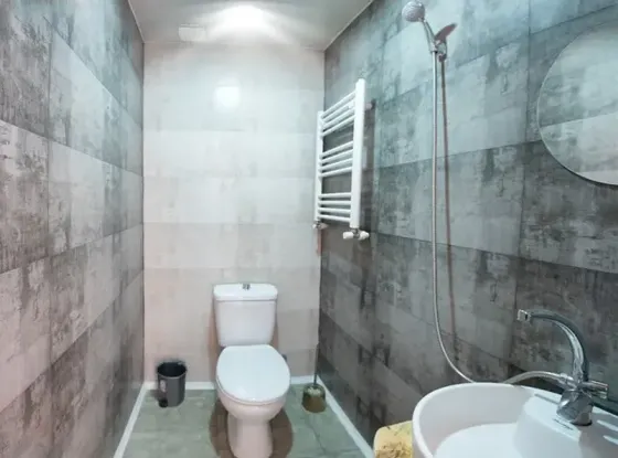 House for rent 400м² Borzhomi